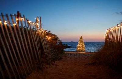 Christmas Tree on the Beach