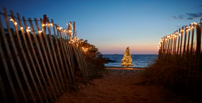 Christmas Tree on the Beach